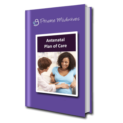 Antenatal Plan of Care information from Private Midwives