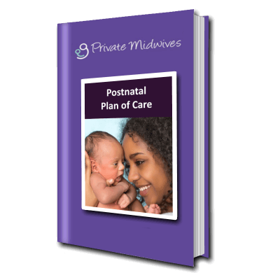 Postnatal Plan of Care information from Private Midwives