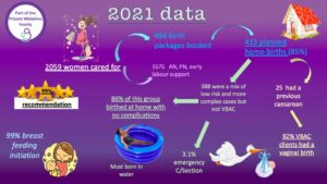 Private Midwives 2021 data on their midwifery services